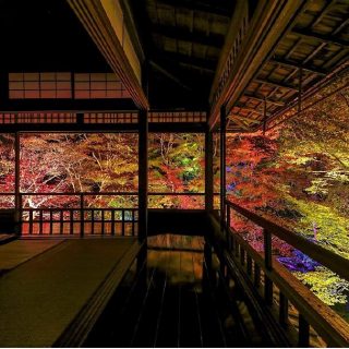 Jr東海ら５者 京都洛北 八瀬のもみじ の紅葉ライトアップイベント