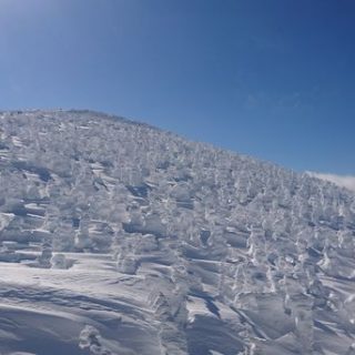 山形県蔵王温泉で50歳以下の地元有志が新会社 株式会社湯50 設立 観光経済新聞