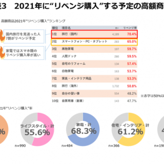 データ 2021年大型消費動向調査