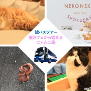 鯱バス ネコ好きの ネコ好きによる ネコ好きのための バスツアー を2月22日 猫の日 発売