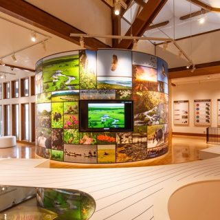 環境省釧路湿原野生生物保護センターが8月10日にリニューアルオープン